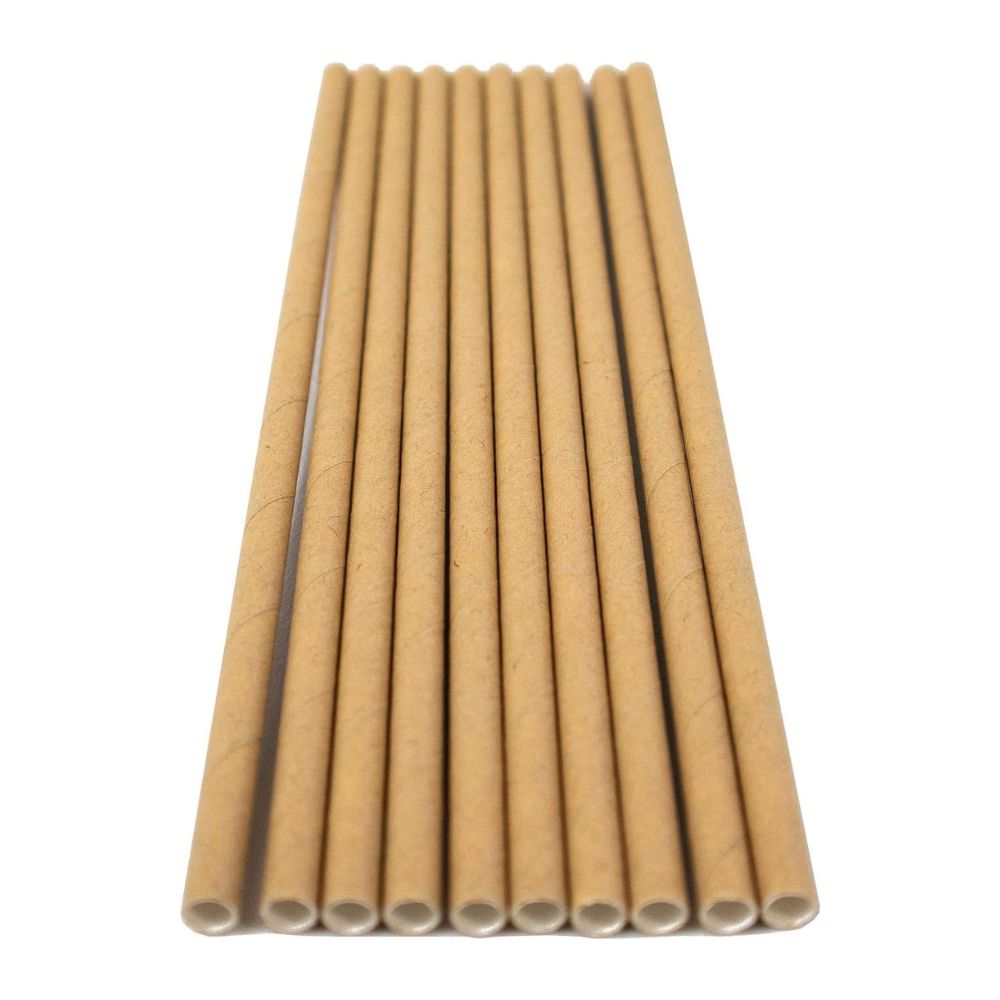 50pcs Eco Friendly Paper Straws